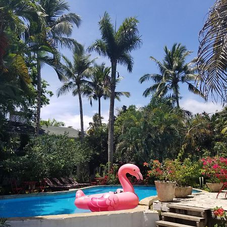 Hotel Cabarete Surf Camp Exterior foto