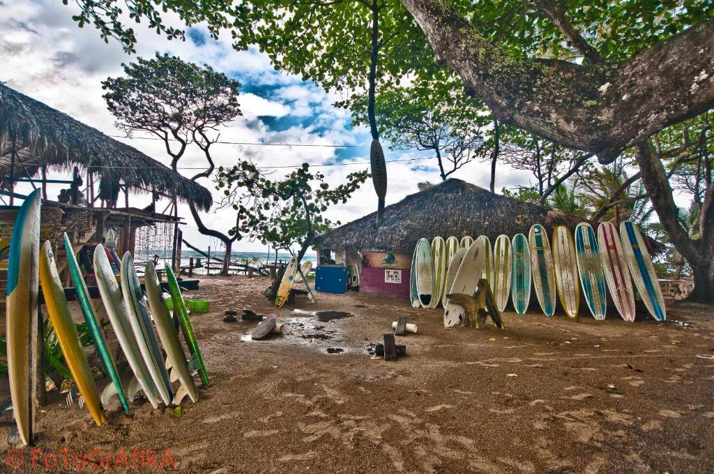 Hotel Cabarete Surf Camp Exterior foto