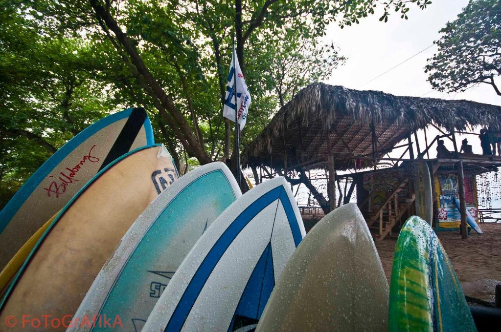 Hotel Cabarete Surf Camp Exterior foto