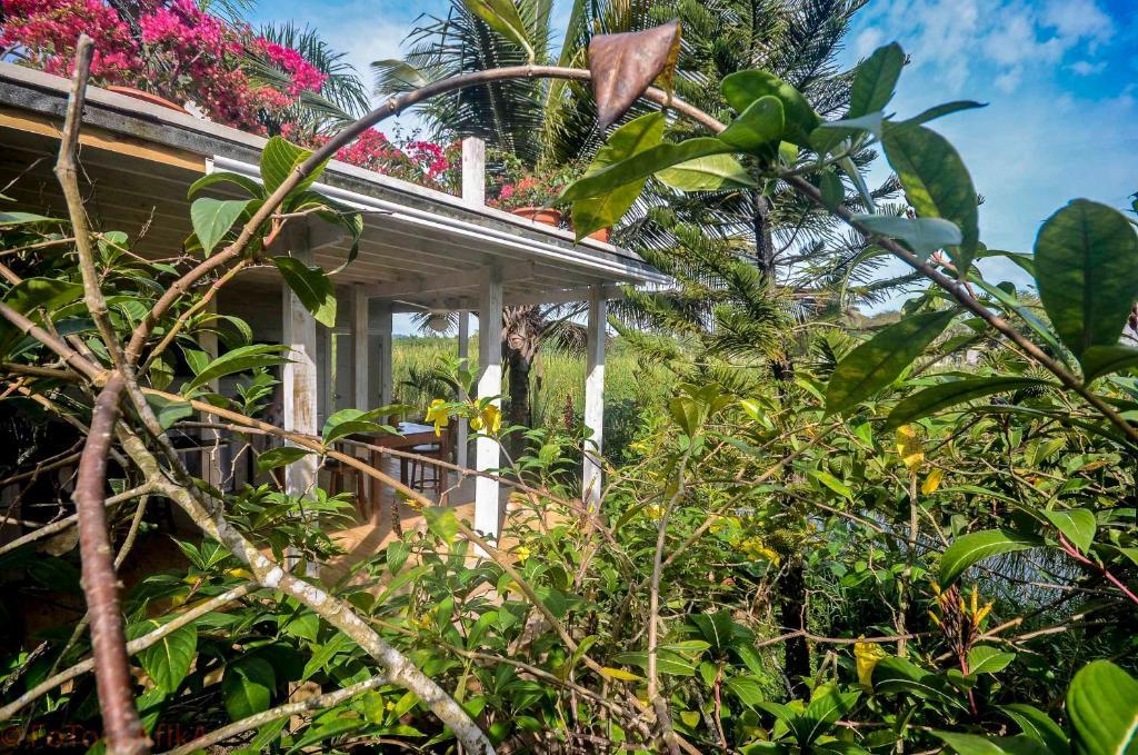 Hotel Cabarete Surf Camp Exterior foto