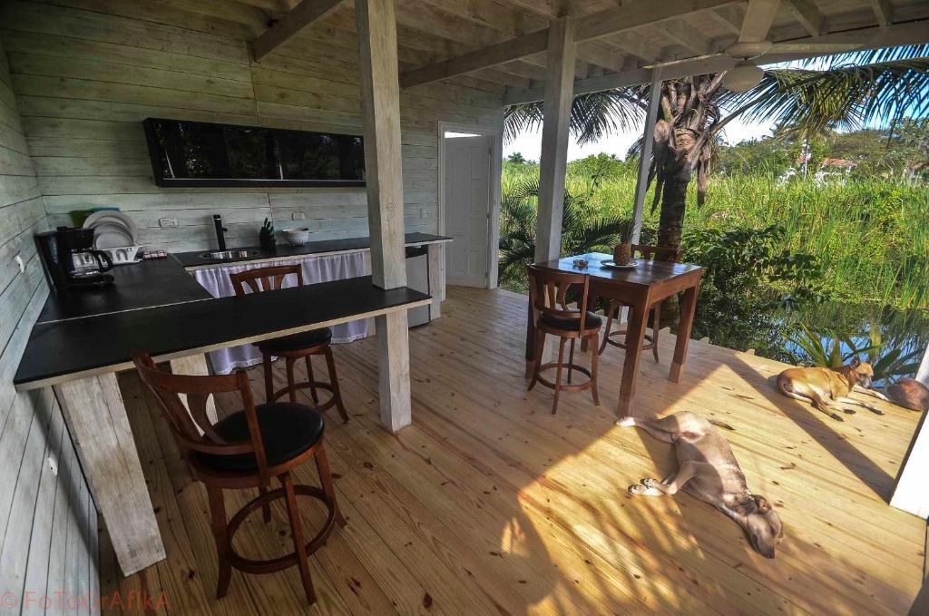 Hotel Cabarete Surf Camp Exterior foto