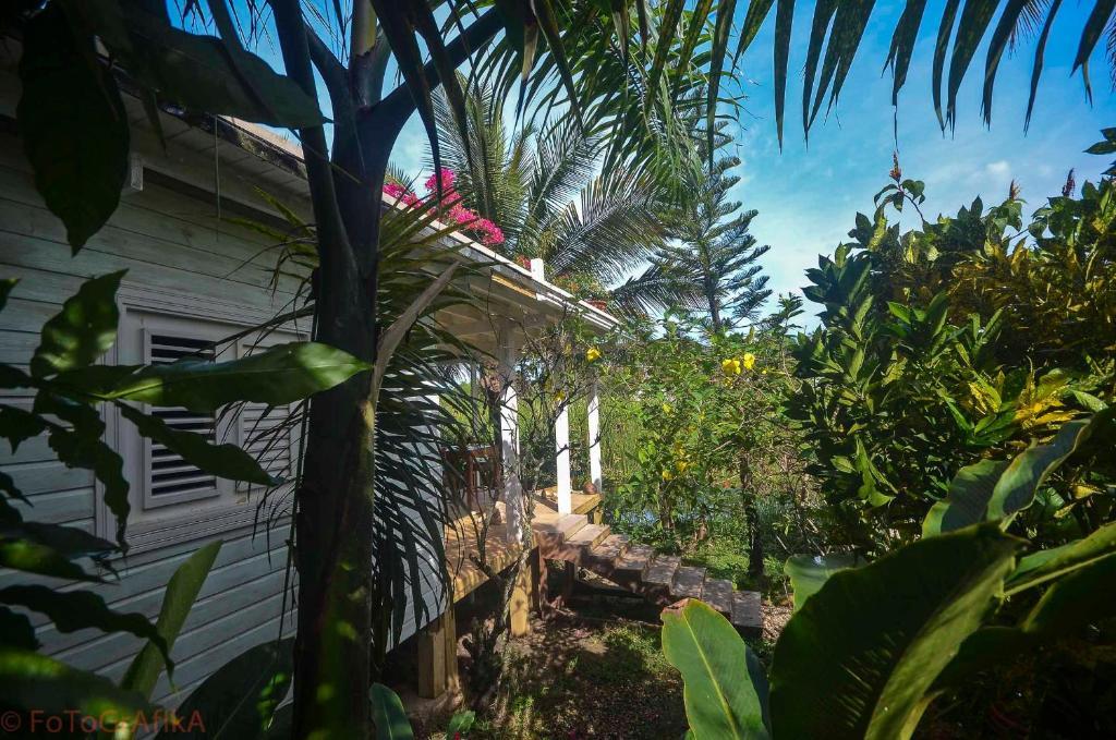 Hotel Cabarete Surf Camp Exterior foto