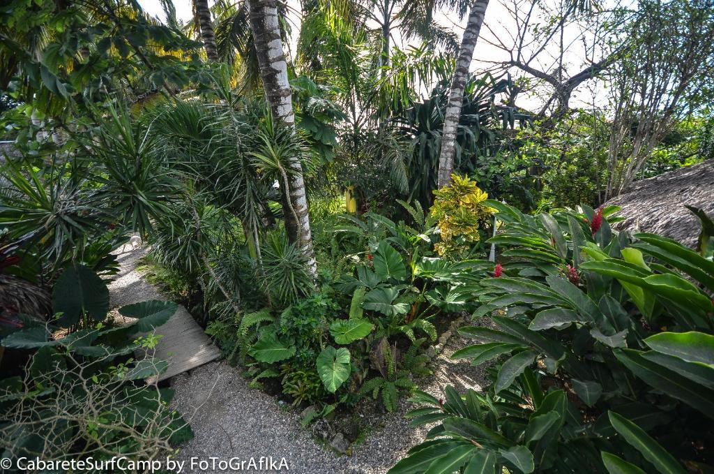 Hotel Cabarete Surf Camp Exterior foto