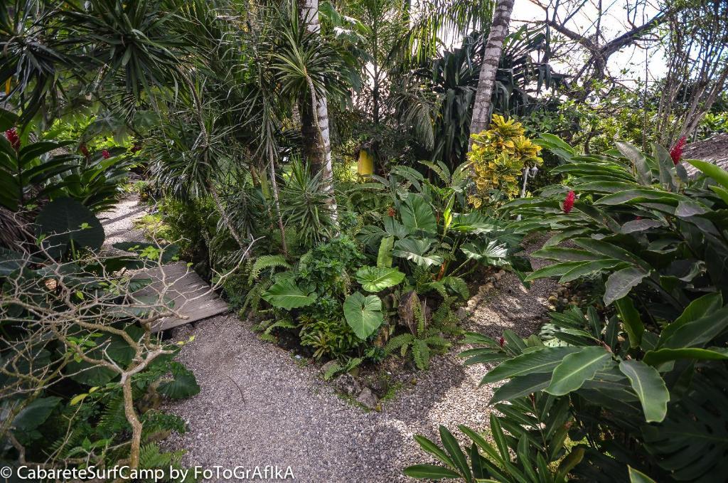 Hotel Cabarete Surf Camp Exterior foto