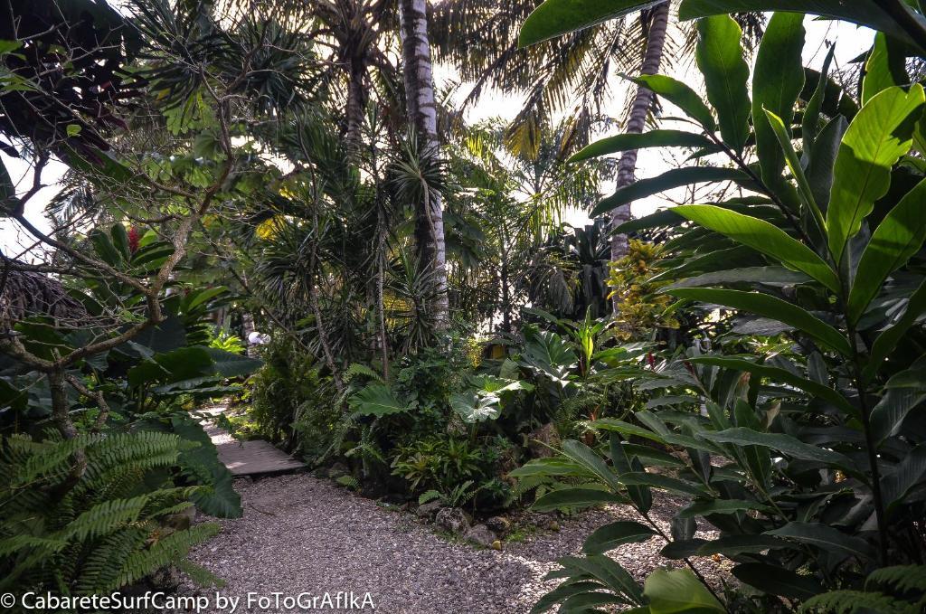 Hotel Cabarete Surf Camp Exterior foto
