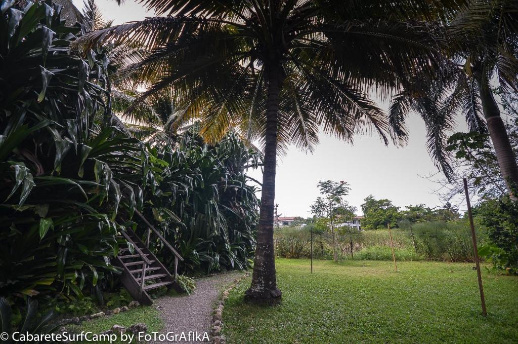 Hotel Cabarete Surf Camp Exterior foto