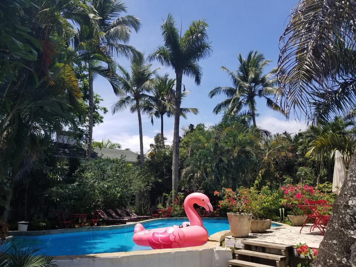 Hotel Cabarete Surf Camp Exterior foto