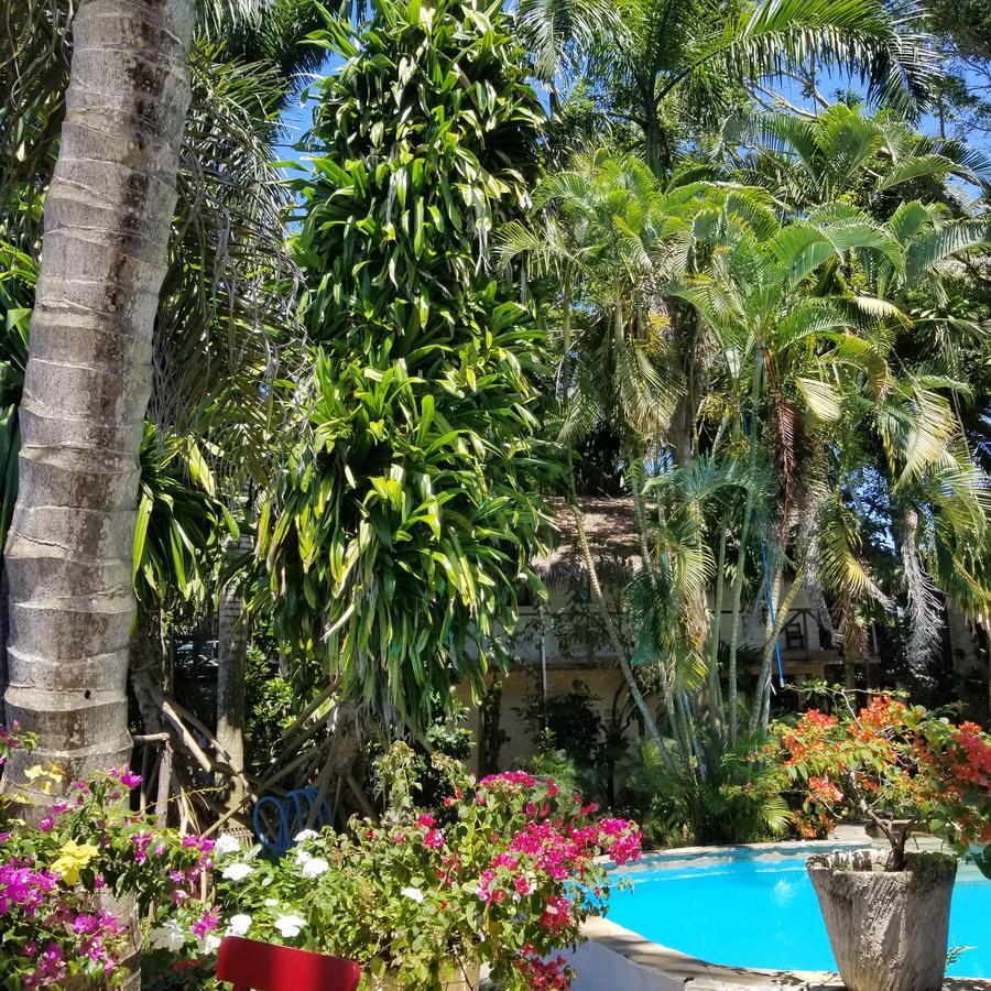Hotel Cabarete Surf Camp Exterior foto